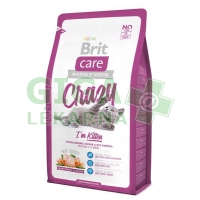 Brit care cat hot sale crazy im kitten